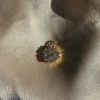 Fleur charm - Bilde 2