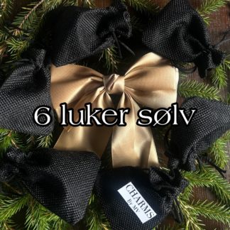 6 LUKER - sølv