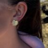 Clam studs