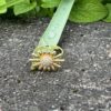 Sunflower ring - Bilde 16