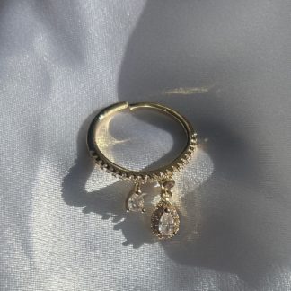 Eau ring